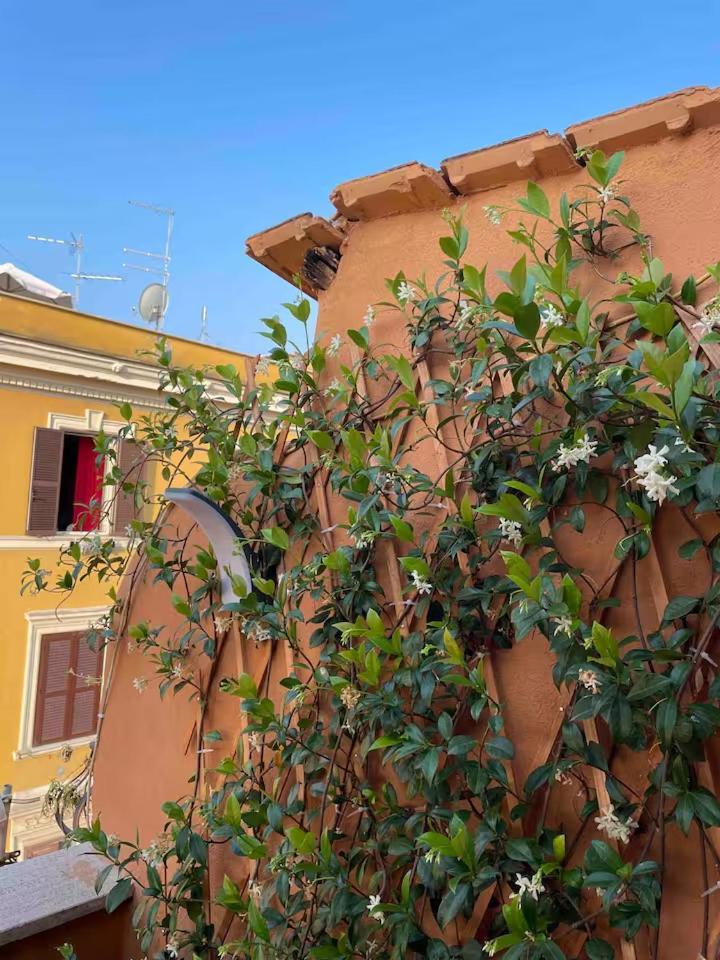 Piccola Alloggio in famiglia Roma
